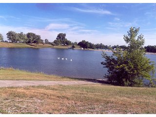 Property photo 29 - LAND AUCTION, 169+/- Acres offered in 6 Tracts, 77+/- Acres Quality Farmland